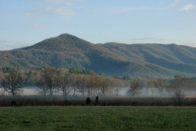 Fog Layer