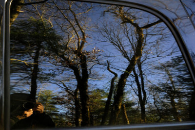 Upon Reflection.......