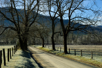 Morning On Sparks Lane