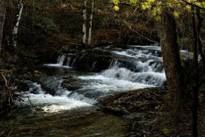 JPG CS Forge Creek Rapids -9274.jpg