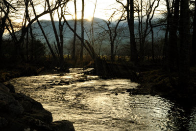 Sunrise At Abrams Creek