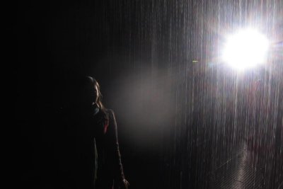 Rain Room Barbican Gallery.jpg