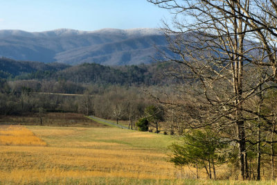 View