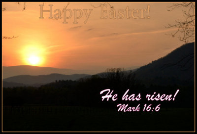 Happy Easter!