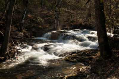 Forge Creek Rapids