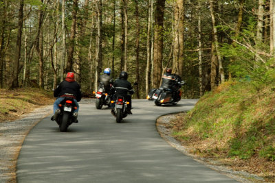 Cruisin' Through The Cove