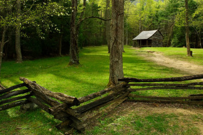 Springtime At The Shields Cabin