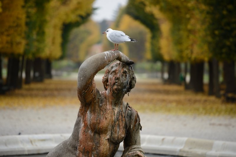 D8E_6086-900.jpg
