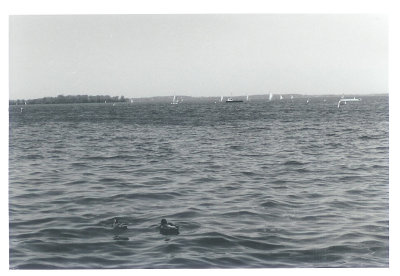 Photograph 34.jpg