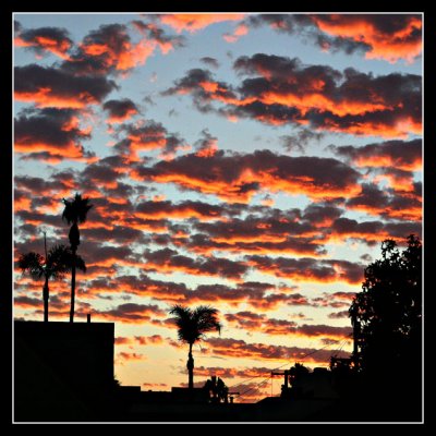 The Sun Sets Behind Park Boulevard