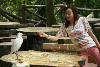 Bird Santuary, Kuala Lumpur