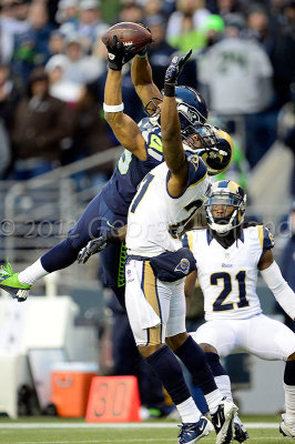 Rams_Sea_12302012_288.JPG