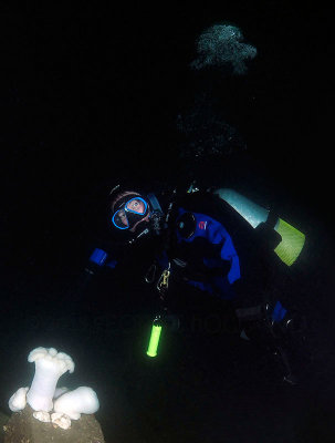 LesDavis_UW__JAN5_72pi_111.jpg