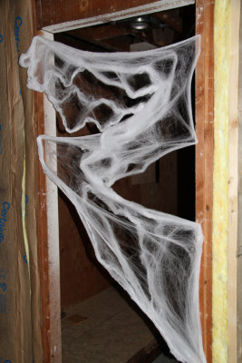 Spooky Cobwebs