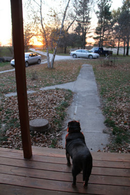 Lucy watching Sunset_102812