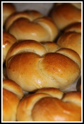 Knotted Bread Rolls