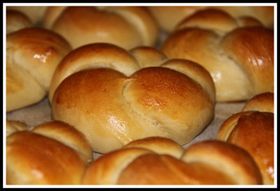 Knotted Bread Rolls_horizontal