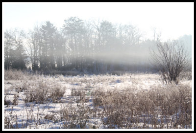Foggy Snowy Wisconsin Morning