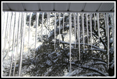 Icicles in March
