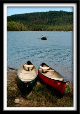 Elk Lake Canoes