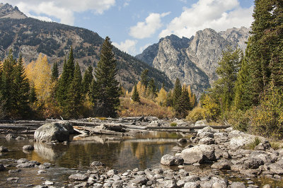 Teton Autumn