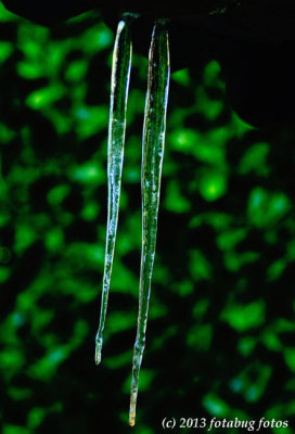 Icicles With Green Hedge