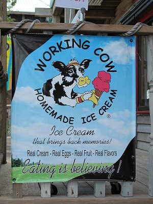 Working Cow