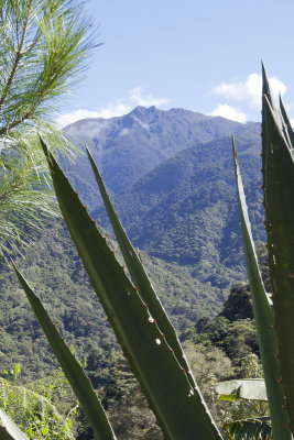 Cerro Chirrip in the distance.