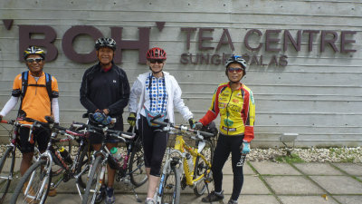 Cycling/Jungle trekking in Cameron Highlands