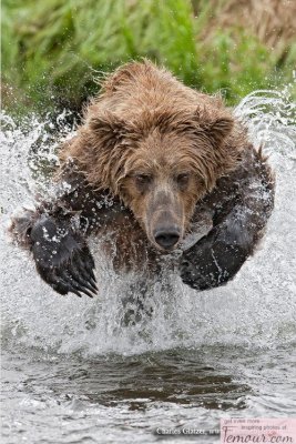 CUANDO TODAVIA HACIAS TRIATLON GORDO