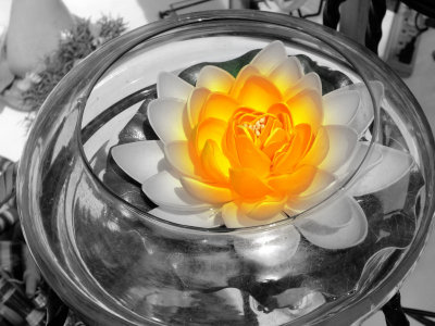 g2/78/599778/3/149206486.VCyfZCxm.jpg