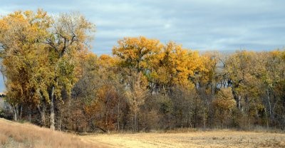 Kansas Fall