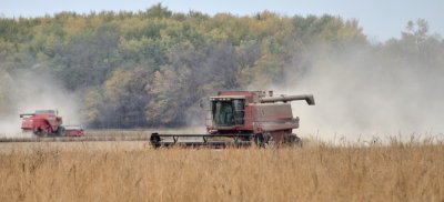 Fall Combine Harvest