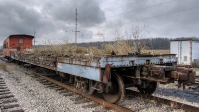 Weeds on the Flat Car