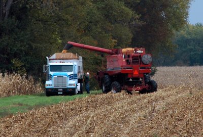 Indiana Fall Harvest