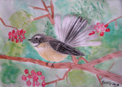 Fantail, Tracy, age:7