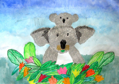 koala, Katherine, age:8