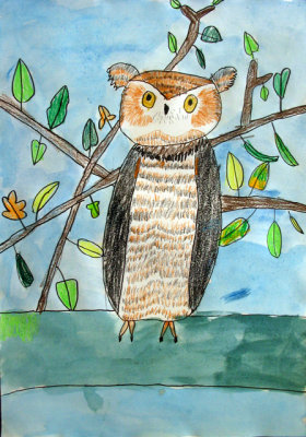 owl, Marina, age:6