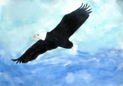 eagle, Oliver Zhu, age:10.5