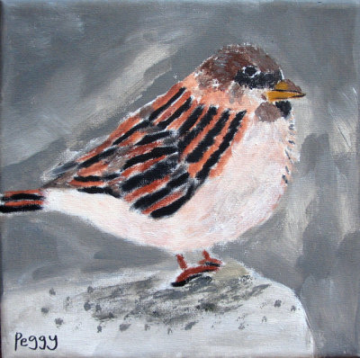 Sparrow, Peggy, age:6