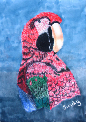 Parrot, Sindy, age:10.5