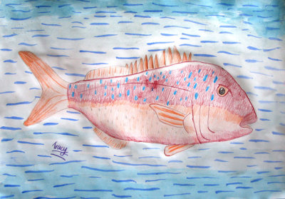 fish, Tracy, age:6.5