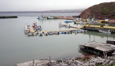 IMG_7157.jpg