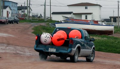 IMG_7165.jpg