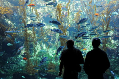 3 LaJolla CA, BirchAquarium