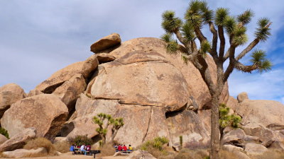 52 JoshuaTree CA