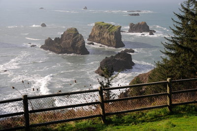 154 Oregon coast