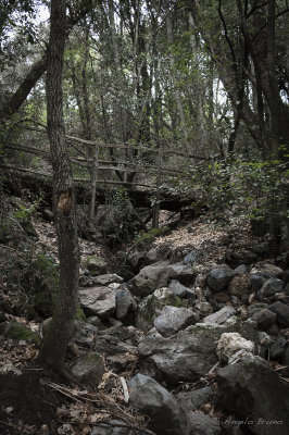 Parco di Vulci