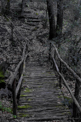 Parco di Vulci