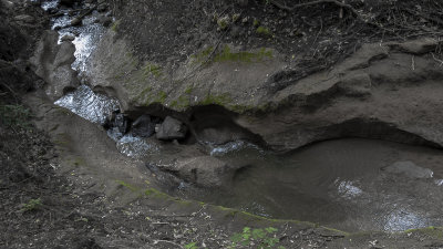 Parco di Vulci